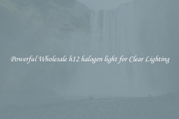 Powerful Wholesale h12 halogen light for Clear Lighting