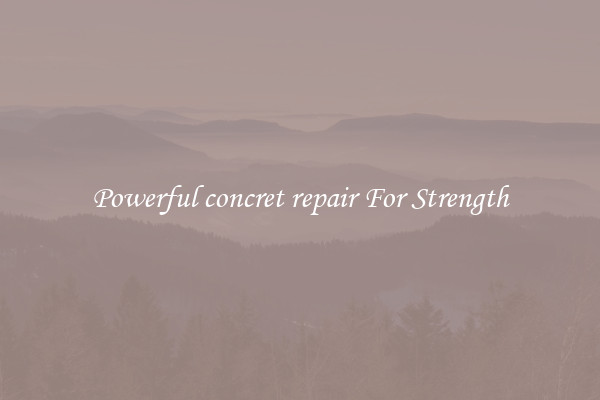 Powerful concret repair For Strength