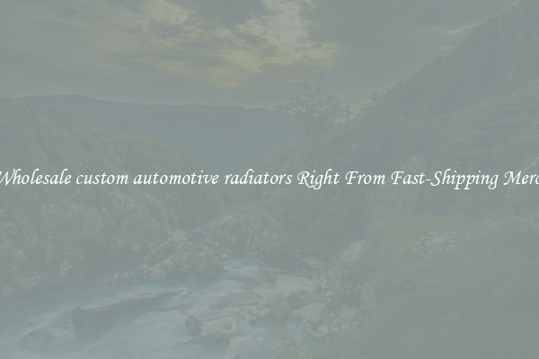 Buy Wholesale custom automotive radiators Right From Fast-Shipping Merchants