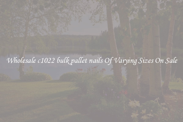 Wholesale c1022 bulk pallet nails Of Varying Sizes On Sale