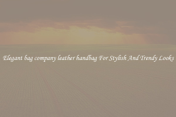 Elegant bag company leather handbag For Stylish And Trendy Looks