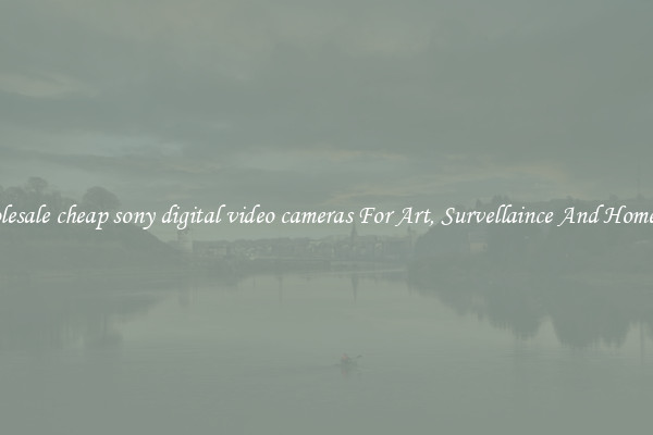 Wholesale cheap sony digital video cameras For Art, Survellaince And Home Use