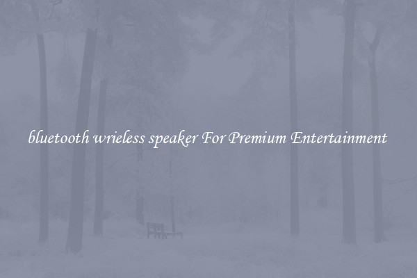 bluetooth wrieless speaker For Premium Entertainment 