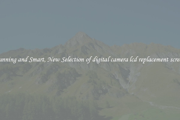 Stunning and Smart, New Selection of digital camera lcd replacement screens