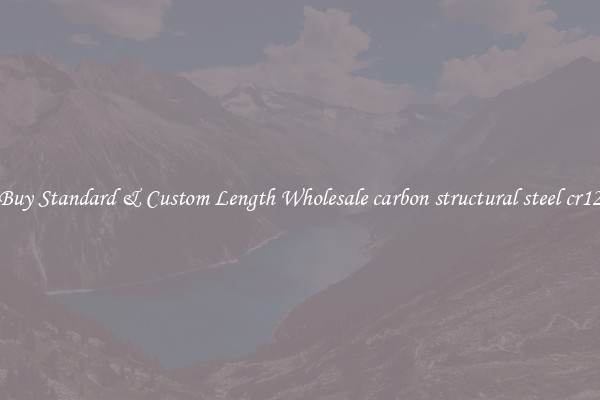 Buy Standard & Custom Length Wholesale carbon structural steel cr12