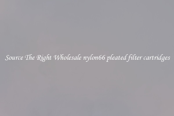 Source The Right Wholesale nylon66 pleated filter cartridges