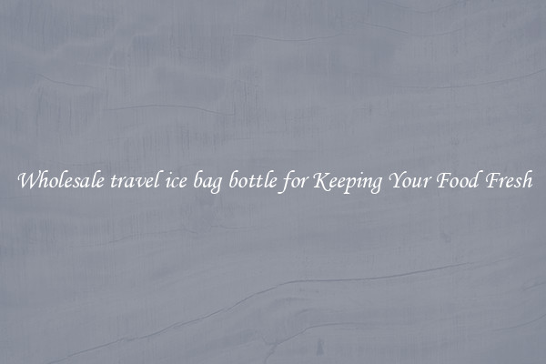 Wholesale travel ice bag bottle for Keeping Your Food Fresh