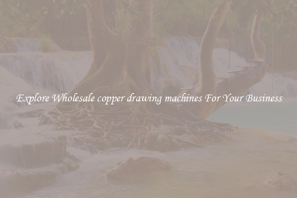  Explore Wholesale copper drawing machines For Your Business 