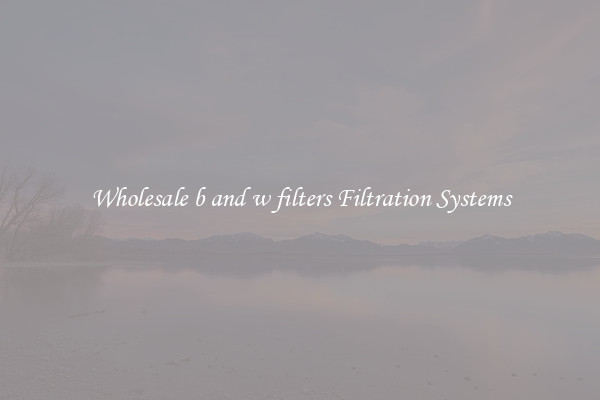 Wholesale b and w filters Filtration Systems