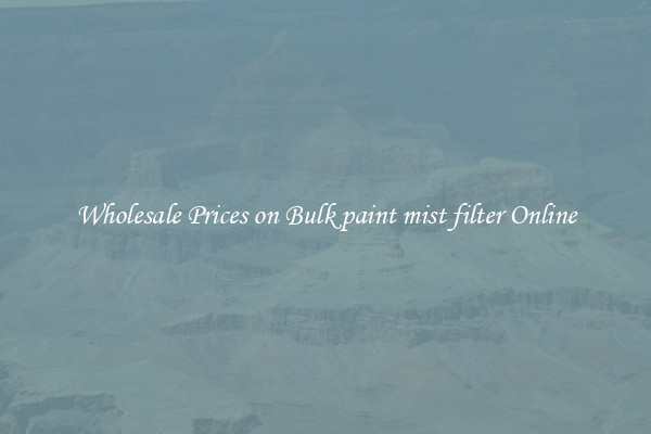 Wholesale Prices on Bulk paint mist filter Online