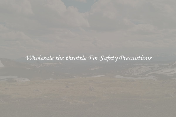 Wholesale the throttle For Safety Precautions