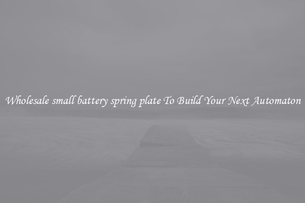 Wholesale small battery spring plate To Build Your Next Automaton