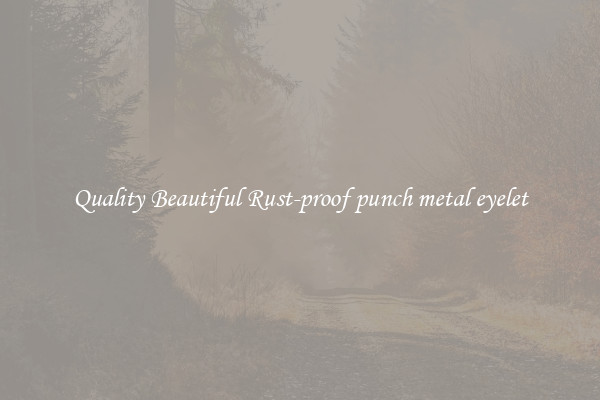 Quality Beautiful Rust-proof punch metal eyelet