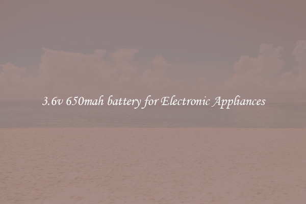 3.6v 650mah battery for Electronic Appliances
